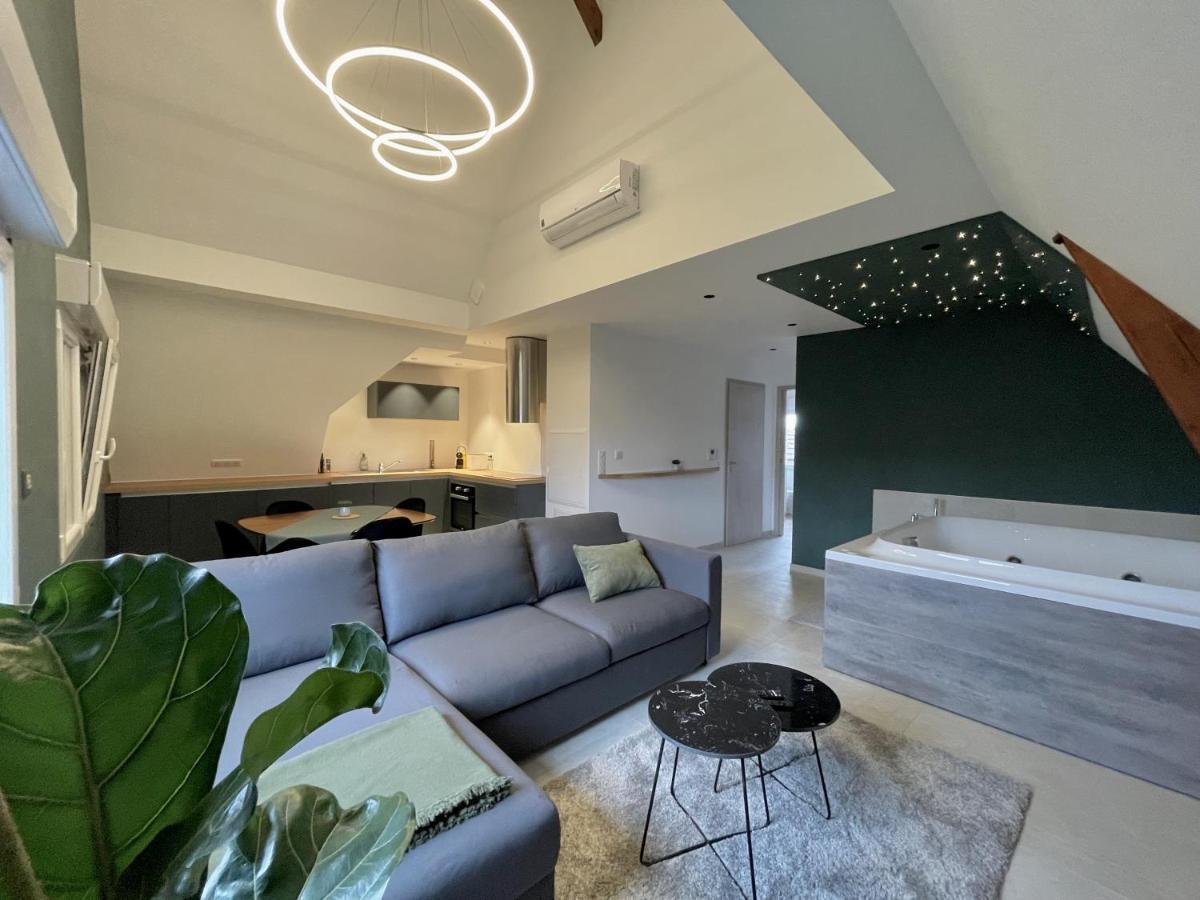 Gite Spa L'Atelier Emile - Spa Privatif - 5 Min Colmar Sainte-Croix-en-Plaine Luaran gambar