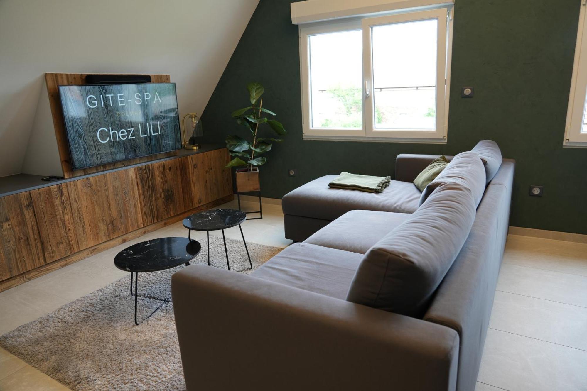 Gite Spa L'Atelier Emile - Spa Privatif - 5 Min Colmar Sainte-Croix-en-Plaine Luaran gambar