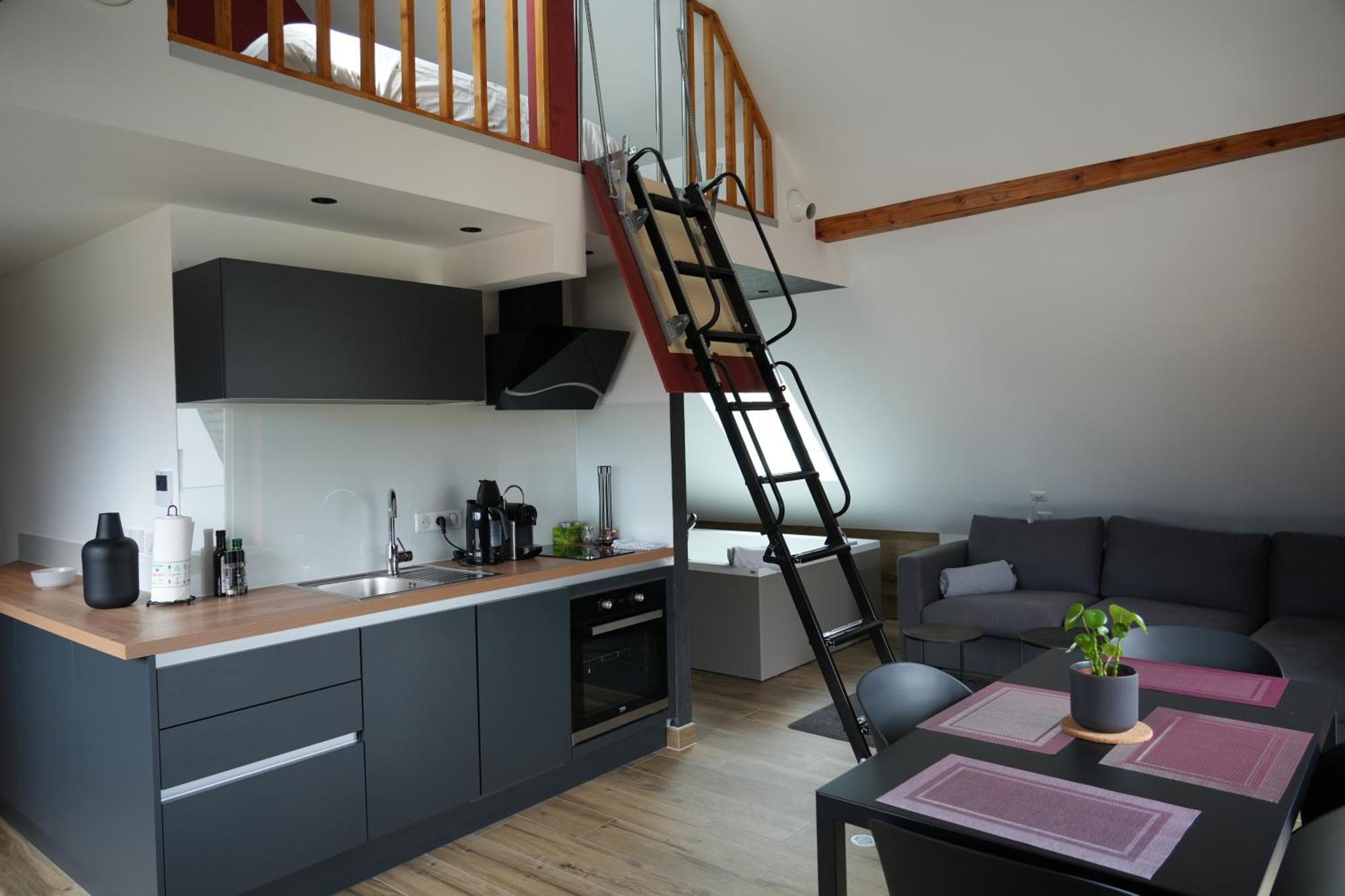 Gite Spa L'Atelier Emile - Spa Privatif - 5 Min Colmar Sainte-Croix-en-Plaine Bilik gambar